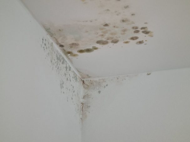 Kondensat und Schimmelbildung an Wand und Decke